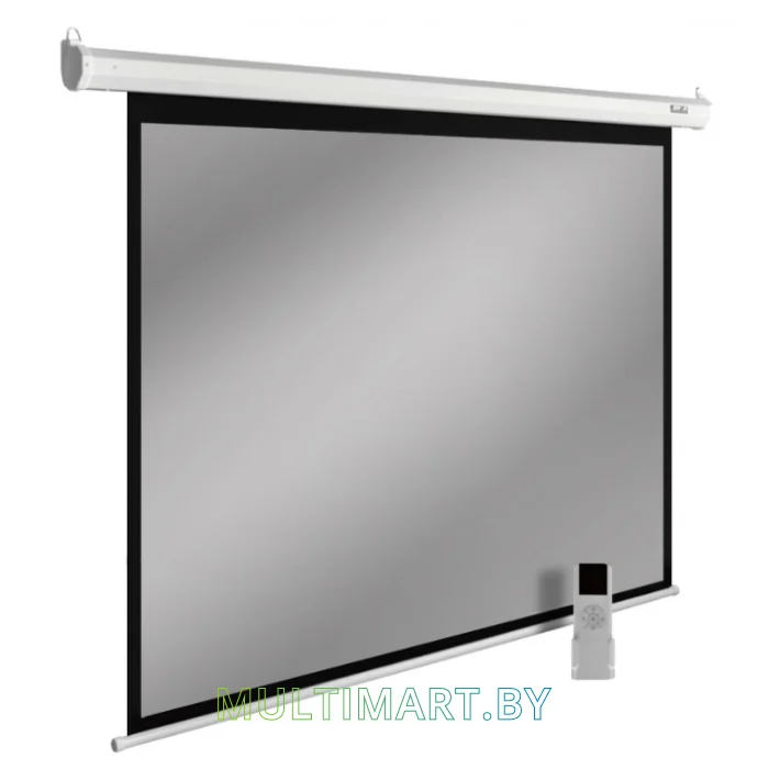 Проекционный экран CACTUS SIlverMotoExpert 150x200 (CS-PSSME-200X150-WT)